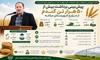 پیش‌بینی برداشت بیش از ۵۰ هزار تن گندم از مزارع مراغه